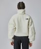 Resim The North Face W Platte High Pile Fleece 1/4 Zip