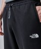 Resim The North Face M Tnf Tech Pant