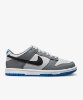 Resim Nike Dunk Low (Gs)