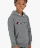 Resim Champion Hooded Sweatshirt