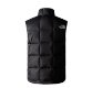 Resim The North Face M Lhotse Vest