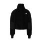 Resim The North Face W Platte High Pile Fleece 1/4 Zip