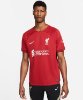 Resim Nike Lfc M Df Stad Jsy Ss Hm