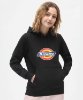 Resim Dickies Icon Logo Hoodie W