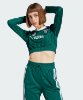 Resim adidas Soccer Ls Crop