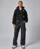 Resim The North Face W Platte High Pile Fleece 1/4 Zip