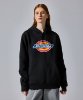 Resim Dickies Icon Logo Hoodie