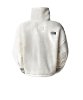 Resim The North Face W Platte High Pile Fleece 1/4 Zip