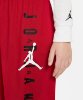 Resim Jordan Jdb Air Jordan Vert Mesh Short