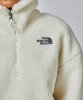 Resim The North Face W Platte High Pile Fleece 1/4 Zip