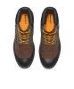 Resim Timberland 6" Prem Rubber Toe Wp