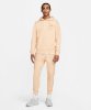 Resim Nike M Nsw Revival Flc Po Hoodie C