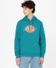 Resim Dickies icon Logo Hoodie