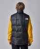 Resim The North Face M Lhotse Vest