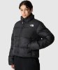 Resim The North Face W Cropped Saikuru