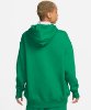 Resim Nike W Nsw Phnx Flc Os Po Hoodie