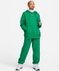 Resim Nike W Nsw Phnx Flc Os Po Hoodie