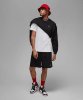 Resim Jordan M J Ess Flc Short