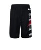 Resim Jordan Jdb Air Jordan Vert Mesh Short