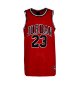 Resim Jordan Jdb Jordan 23 Jersey