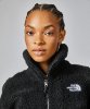 Resim The North Face W Platte High Pile Fleece 1/4 Zip