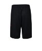 Resim Jordan Jdb Air Jordan Vert Mesh Short