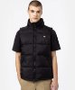 Resim Dickies Waldenburg Vest