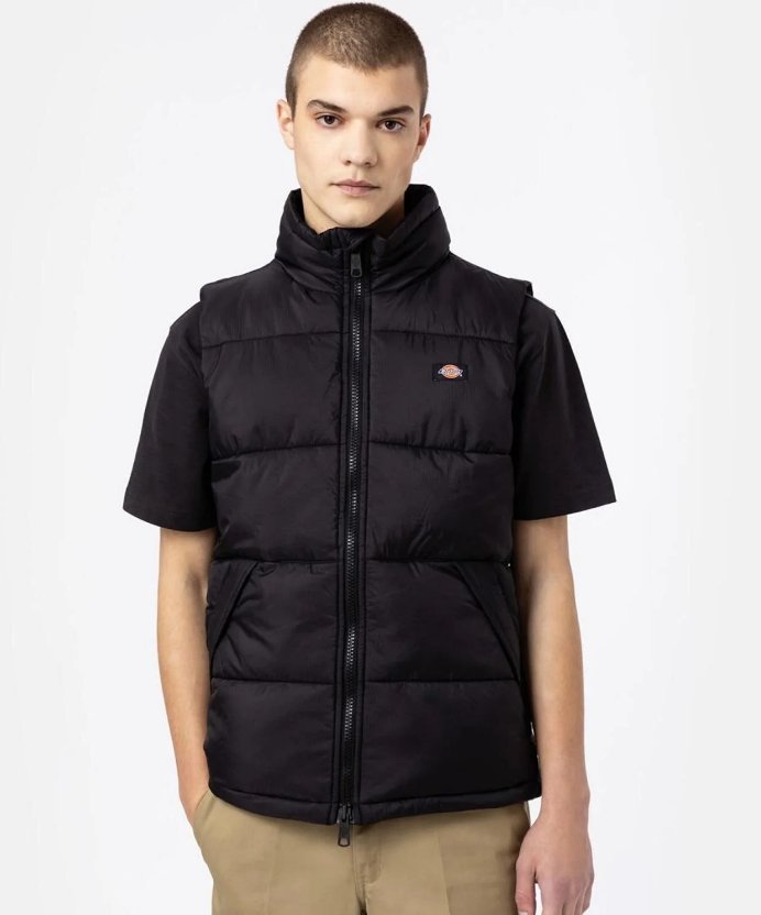 Resim Dickies Waldenburg Vest