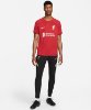 Resim Nike Lfc M Df Stad Jsy Ss Hm