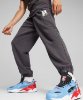 Resim Puma X The Smurfs Sweatpants Tr