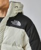 Resim The North Face M Hmlyn Down Parka