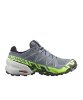 Resim Salomon Speedcross 6 Gtx Flin