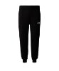 Resim The North Face M Fine Alpine Equipment Pant - Eu