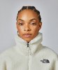 Resim The North Face W Platte High Pile Fleece 1/4 Zip