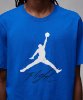 Resim Nike Air Jordan Jumpman Flight Hbr Tee