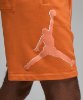 Resim Jordan M J Ess Flc Hbr Short