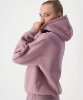 Resim Champion Hooded Sweatshirt