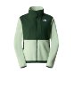 Resim The North Face W Denali Jacket